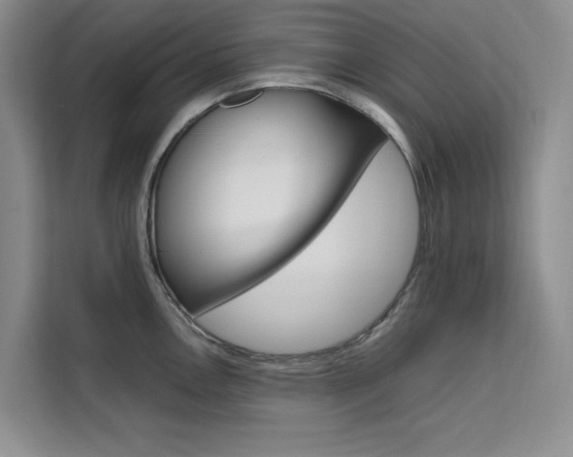 X0000111501146200907141038