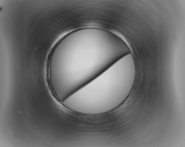 X0000111501147200907141038