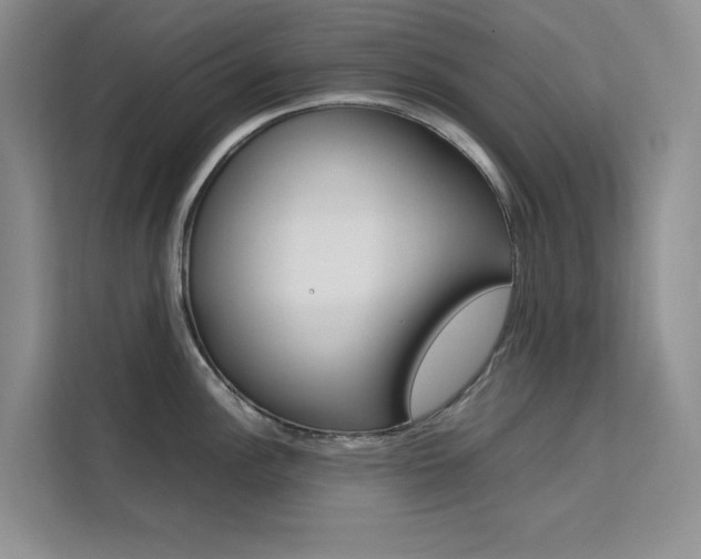 X0000111501148200907141038