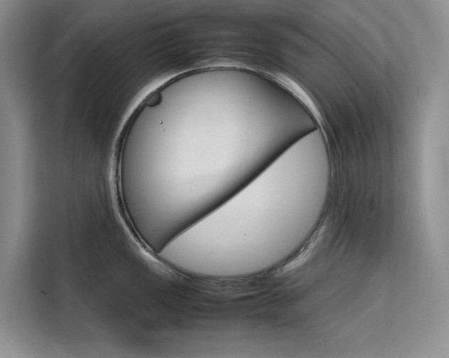X0000111501149200907141038