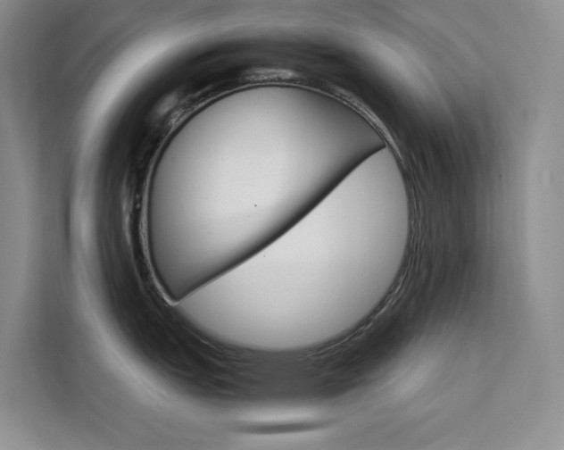 X0000111501151200907141038