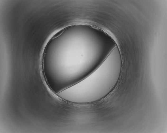 X0000111501152200907141038