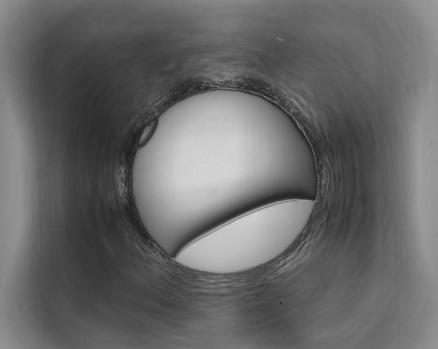 X0000111501156200907141038