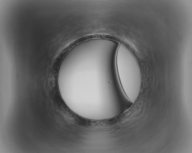 X0000111501159200907141038