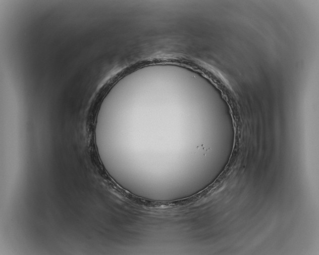 X0000111501160200907141038