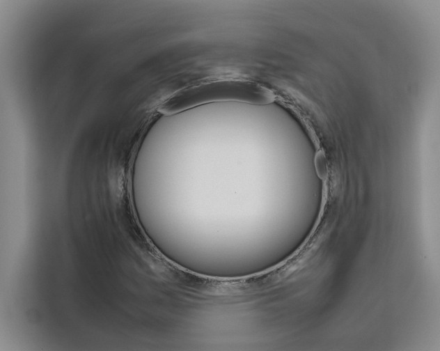X0000111501161200907141038