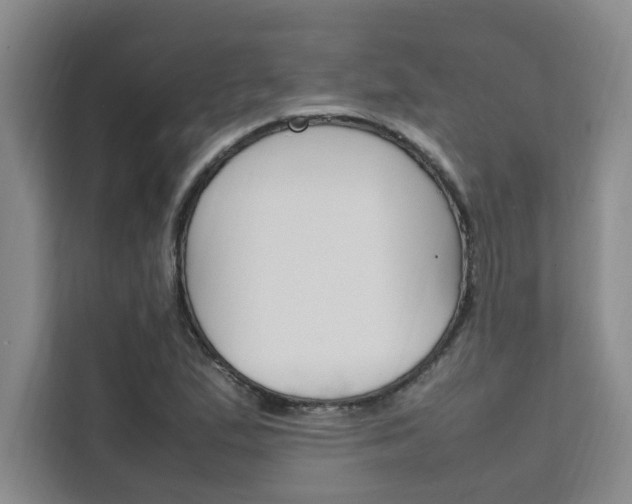 X0000111501167200907141038