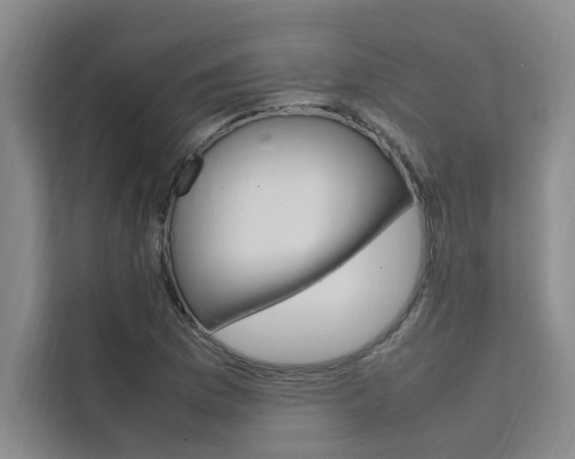 X0000111501169200907141038