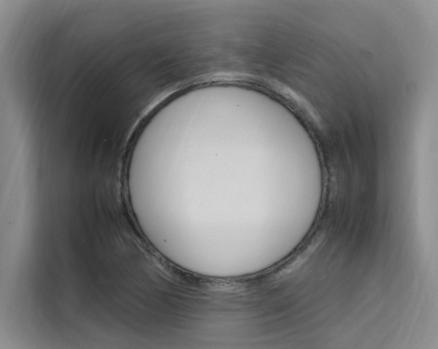 X0000111501170200907141038