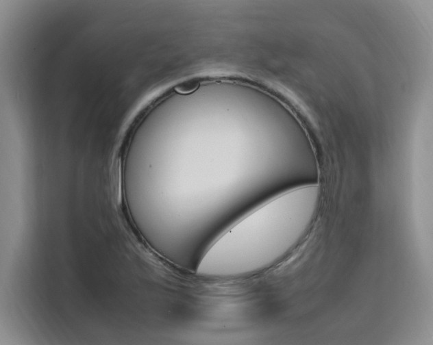 X0000111501175200907141037