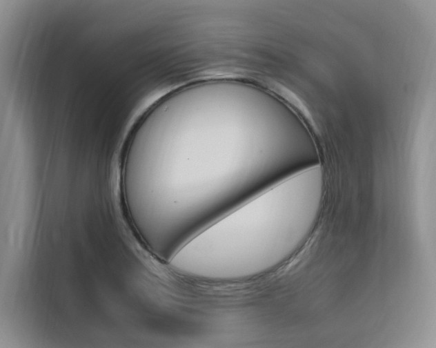 X0000111501179200907141037