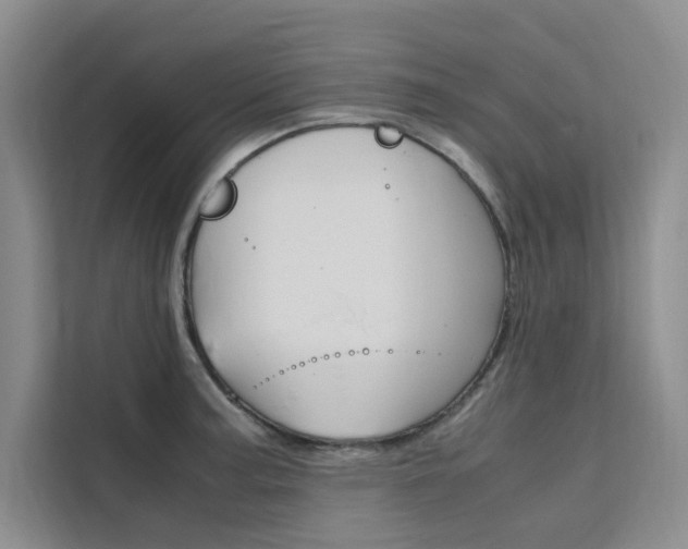 X0000111501187200907141037