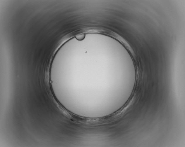 X0000111501194200907141037