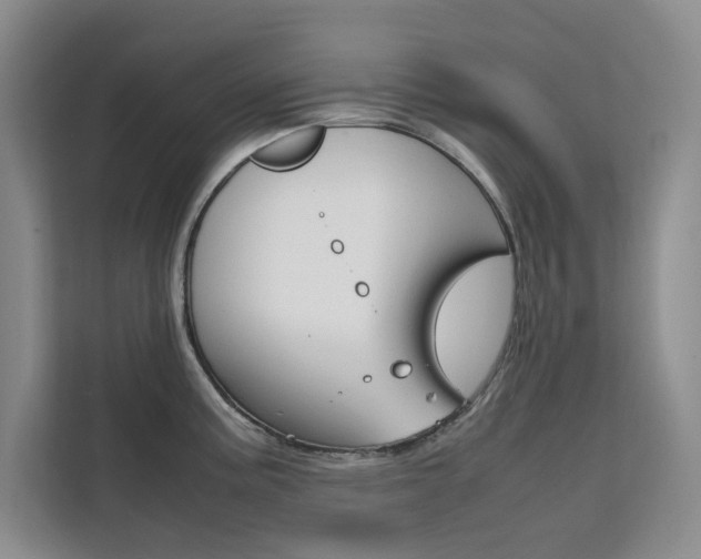 X0000111501195200907141037