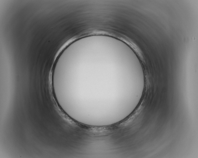 X0000111501198200907141037