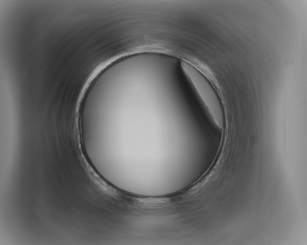 X0000111501200200907141037
