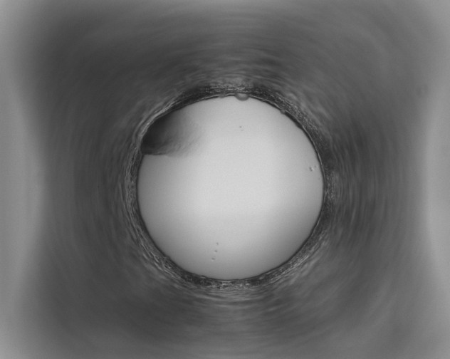 X0000111501201200907141037