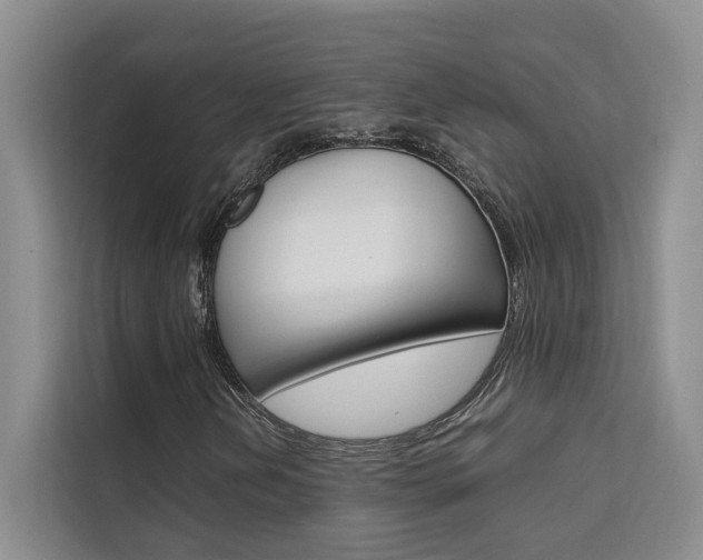 X0000111501202200907141037
