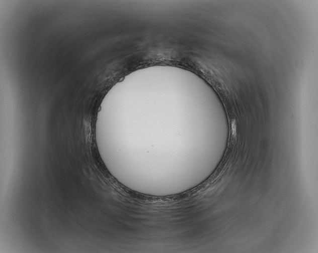 X0000111501203200907141037