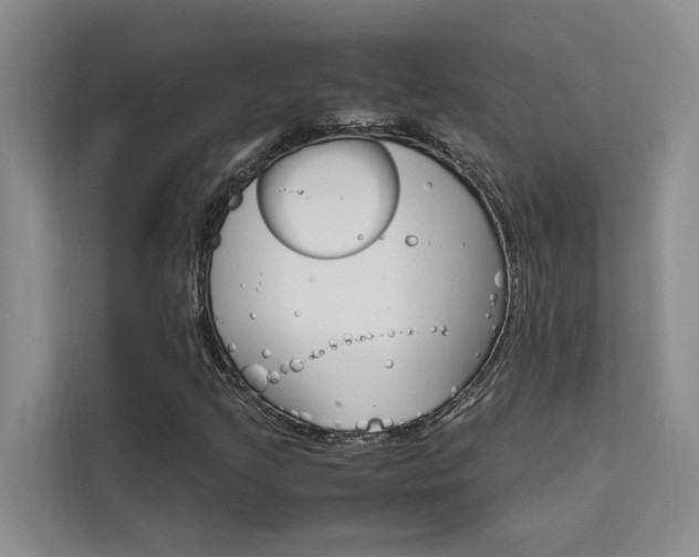 X0000111501205200907141037