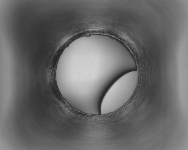 X0000111501208200907141037