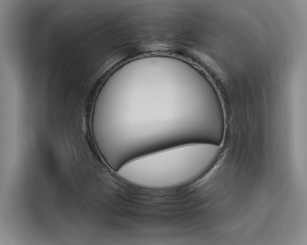 X0000111501209200907141037