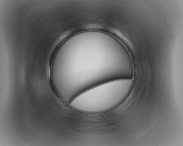 X0000111501221200907141037