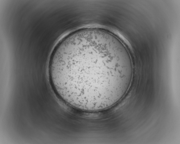 X0000111501229200907141037