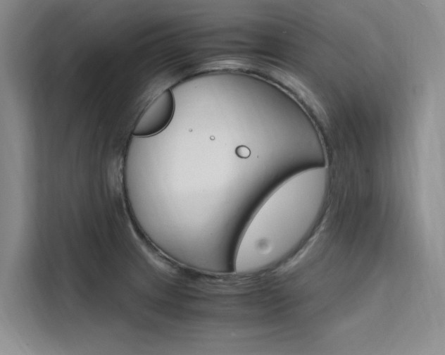 X0000111501233200907141037