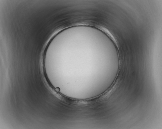 X0000111501235200907141037