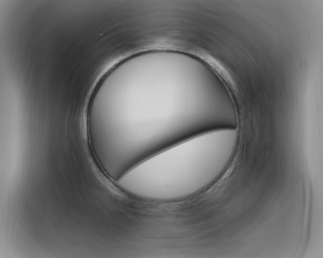 X0000111501238200907141037