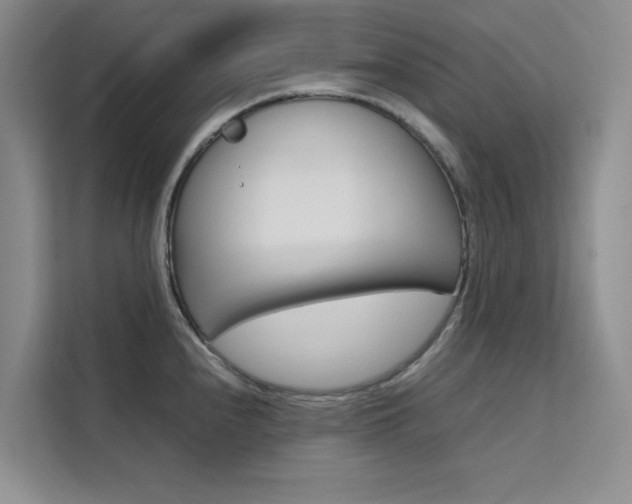 X0000111501240200907141037