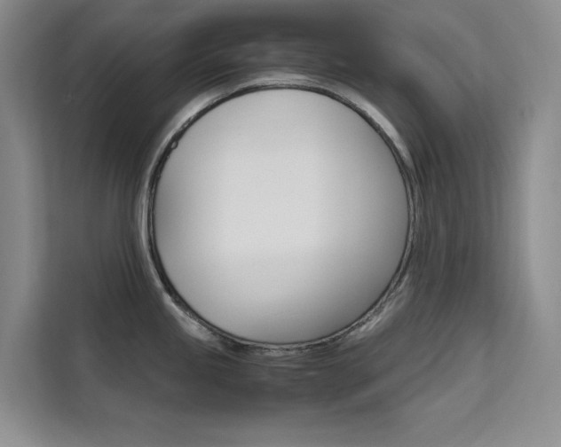 X0000111501245200907141037