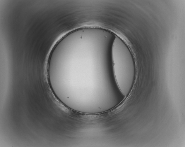 X0000111501248200907141037