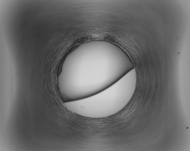 X0000111501249200907141037