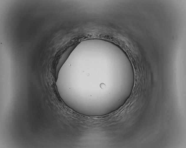 X0000111501253200907141036