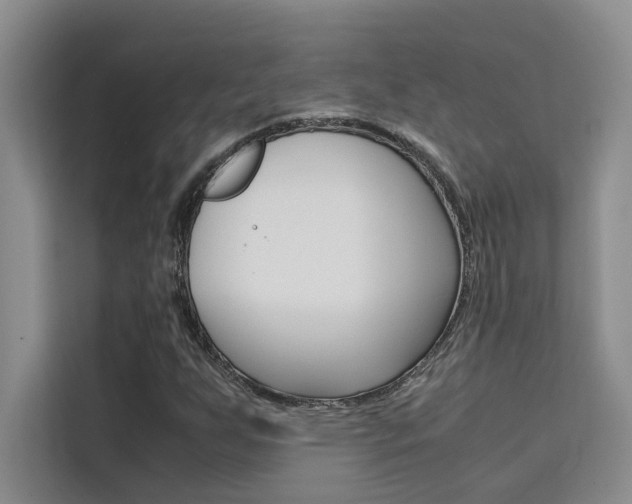 X0000111501255200907141036