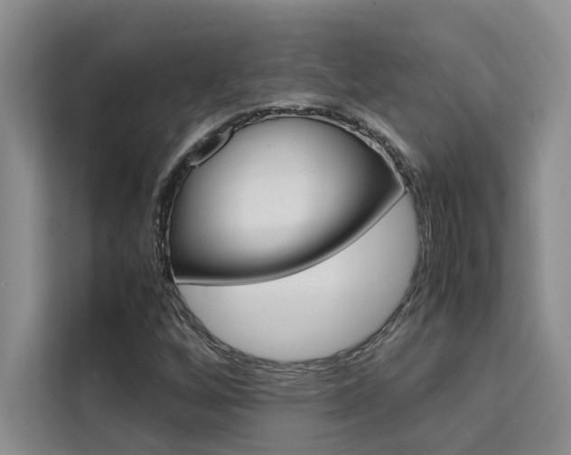 X0000111501256200907141036