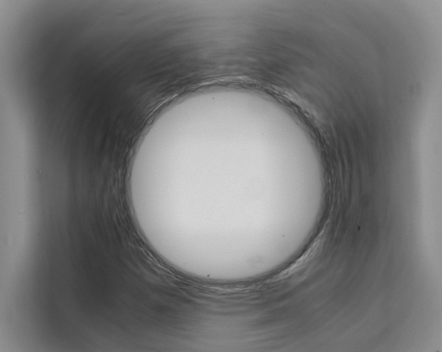 X0000111501257200907141036