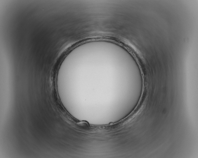 X0000111501259200907141036