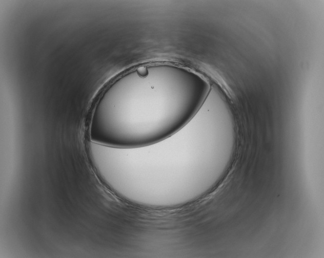X0000111501260200907141036