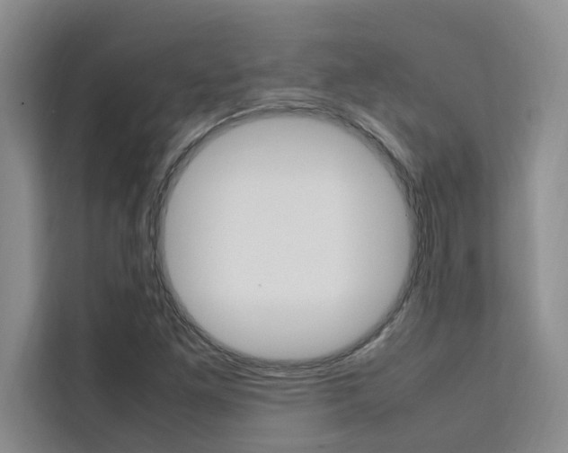 X0000111501261200907141036