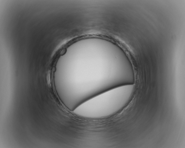 X0000111501262200907141036
