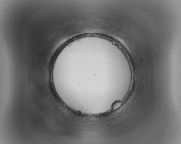 X0000111501263200907141036