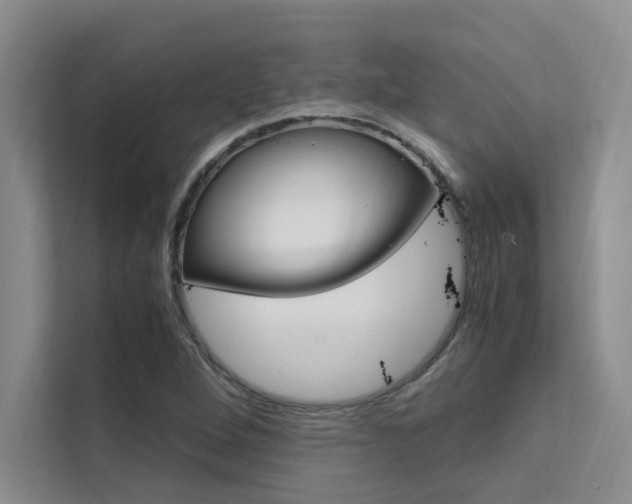 X0000111501264200907141036