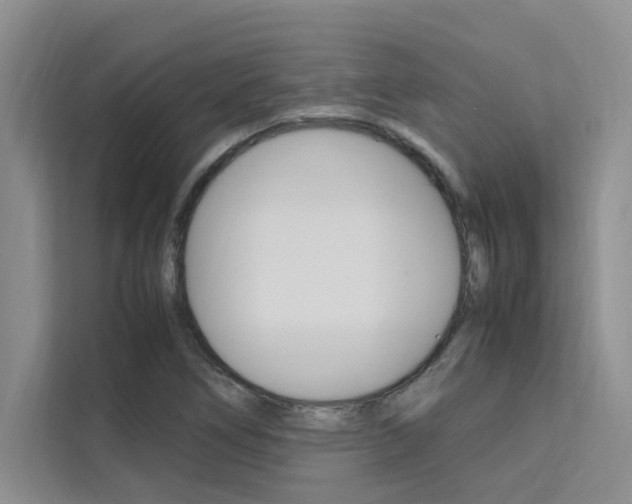 X0000111501266200907141036