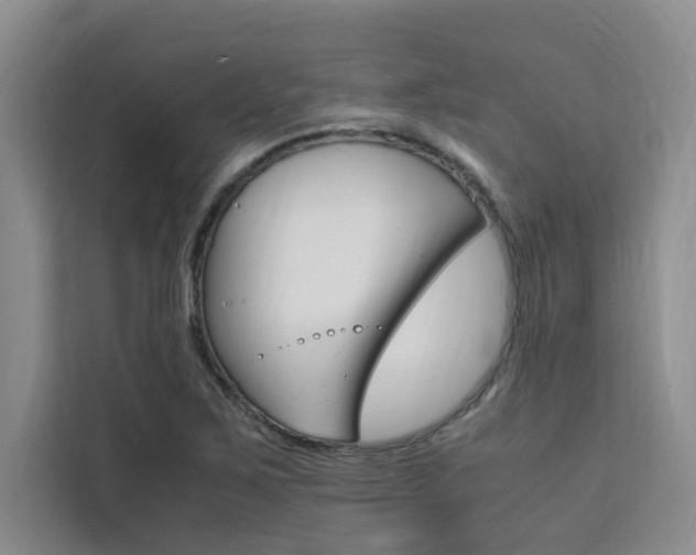 X0000111501267200907141036
