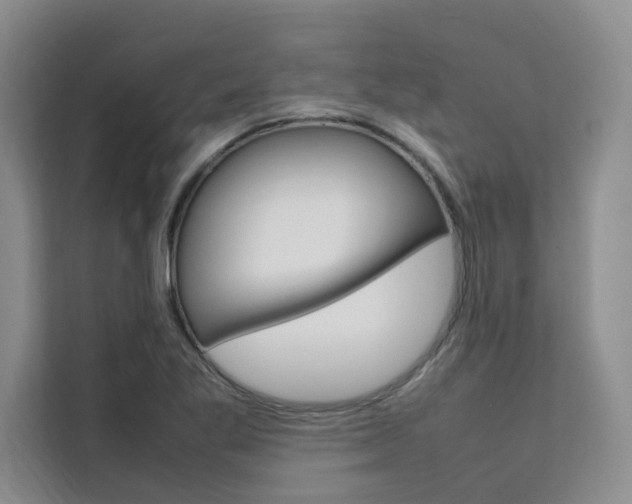 X0000111501269200907141036