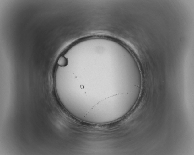 X0000111501271200907141036