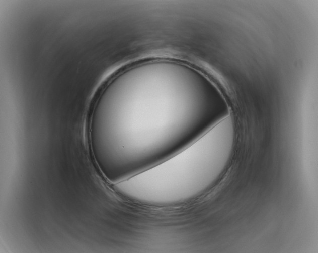 X0000111501272200907141036
